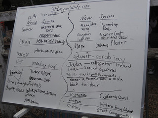 sfbaywildlife.info booth at Beaver Festival